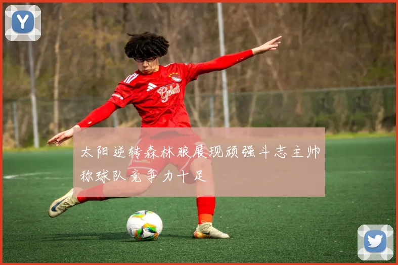 太阳逆转森林狼展现顽强斗志主帅称球队竞争力十足